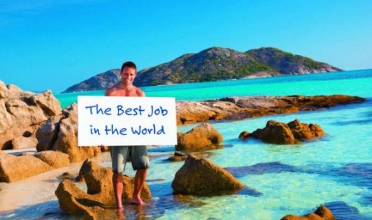 The Perfect Job – what’s yours?